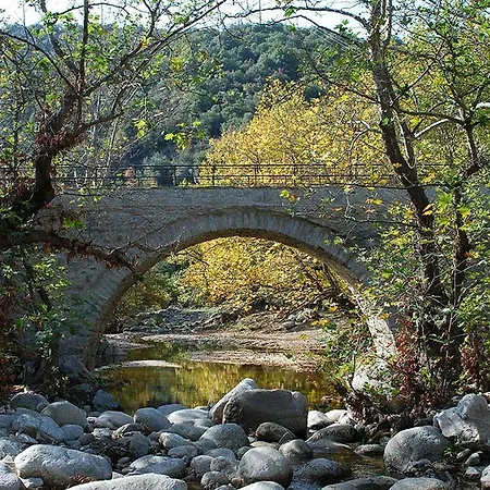 Anamniseis *